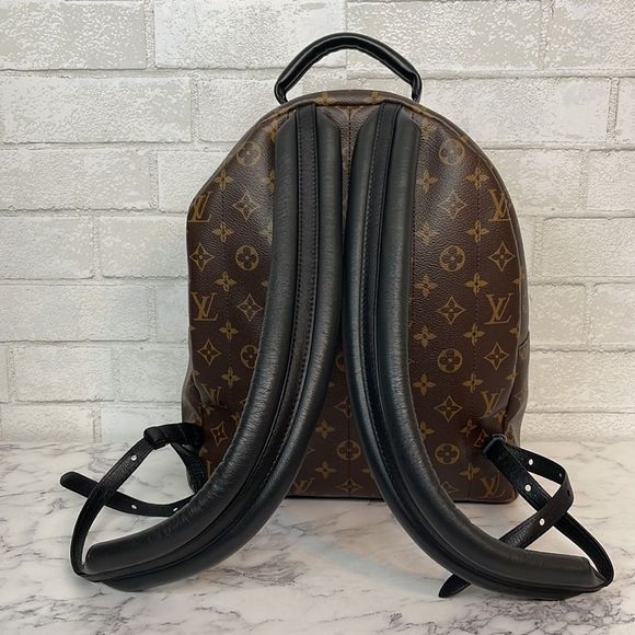 Louis Vuitton Palm Springs MM Monogram Backpack - Picture 4 of 13